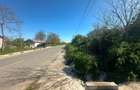 TEREN 2.549 MP DE VÂNZARE – PLOPENI, CONSTANȚA - 1