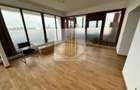 Penthouse Ștefan cel Mare | Spațiu birouri / clinică / beauty | Terasă - 2