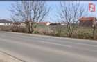 Teren intravilan de 400 mp in Peciu Nou - 5