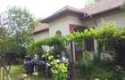 Vand casa in com. Giubega jud. Dolj - 7