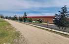 Apartament 2 camere parter cu curte proprie - 4