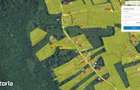Teren intravilan de vanzare Targu Neam? | 5.400 mp | Utilita?i - 2