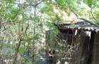 Iam, Casa 5 Camere, Gospodarie, 1439mp Teren, Pret Negociabil - 13