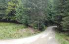 Teren 7 ha, Lac Vidraru, Podis Molivis - 1
