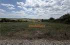 TEREN INTRAVILAN | 5997 MP | 35 ML FRONT STRADAL | ZONA IZVORULUI | SA