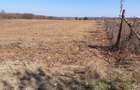 Teren de 6670 mp, în Viile Satu Mare - 8