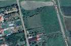 Teren de 1500 mp, în Hotărani - 3