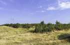 Parcele Teren extravilan Livada si Pasune Lunca Corbului Arges - 4