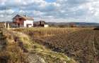 Vand teren intravilan in Cuzdrioara,750 mp - 7