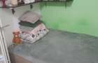 dristor baba novac 7 min metrou pet friendly - 8