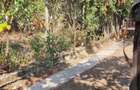Teren intravilan de vanzare in Comuna Budesti, sat Ruda, Ramnicu Valcea - 3