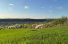 Teren de vanzare in Stanciova, judetul Timis pozitie panoramica - 5