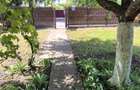 Casa in Dragasani , str Traian , Dragasani, Valcea - 6