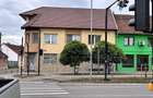 Proprietate ultracentrala Beius - 2 case si 2 spatii comerciale - 2