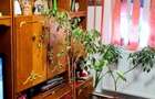 Apartament de vanzare, 52000 (usor negociabil) - 6