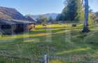 Teren intravilan, 5530 mp, zona Neagra Sarului - Vatra Dornei