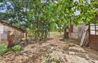 Casa Tileagd, 25 km Oradea, teren 328 mp - 19