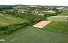 Teren intravilan 2.935 mp in Viile Satu Mare | Aproape de padure - 1