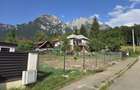 TEREN DE VANZARE IN BUSTENI zona kalinderu | 500 MP - 1