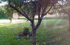 Teren + cabana pe piloi, 661 mp, zona Almasu Sec - 1