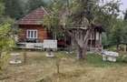 Vand casa ,zona Mun?ilor Apuseni !!! - 7