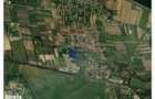 Teren intravilan industrial de vanzare - 9505 mp - Tileagd - 3