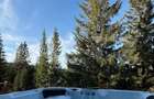 Cabana moderna A-Frame, jacuzzi, regim hotelier - 2