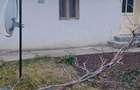 Casă cu 3 camere cu Teren 3000 Mp în Caporal Alexa - 3