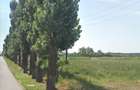 Teren intravilan Ganeasa - Moara Domneasca - 2