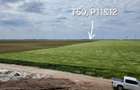 Proprietar, terenuri agricole extravilane, cadastru si intabulare, A0 - 13