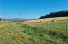 De vanzare teren intravilan 3.1 Ha, Sancraul De Mures, Mures - 1