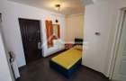 Apartament cu o camera situat in Zorilor, Str. Viilor, aproape de UMF - 10
