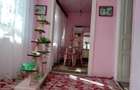 Vand casa cu gradina sat Buhani, jud Arad, 1080mp