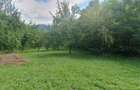 Teren de 4000 mp, în Izvoarele - 4