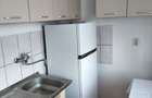 Apartament 1 Camera 1 Baie Piata Cetate Centrul Civic - 2