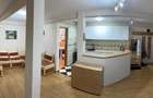 Apartament 3 camere - 95 mp Vasile Aron - 8