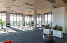 Birouri premium in SibiuSpatii flexibile moderne pentru companii - 1