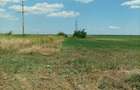 Vand teren agricol in intravilanul comunei Romanu - 2