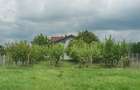 Moara Vlasiei , Casa cu teren 4250 m2 - 1