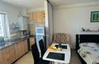 Apartament de inchiriat cu o camer#259; open space - 3