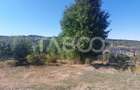 Teren intravilan 600 mp front stradal 16 m zona Muncel Cisnadie - 4
