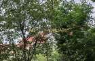 2 Camere de inchiriat | Victoriei | Metrou | PetFriendly
