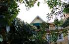 Vila P+1, 350 mp, Sector 1 11 camere + spatii generoase, curte, garaj | After-school / centru rezidential / sediu - 8