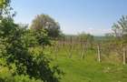 Vand teren intravilan - 2