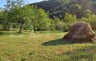 Casa de vanzare, 100 mp, teren 10.000 mp, zona Almasu Mare - 12