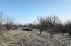 Teren URZICENI Peste Linie, Langa GRADINITA 1600 mp, 17m la drum X 95m - 3