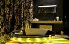 PENTHOUSE UNICAT vedere parc si la lac Herastrau - 18