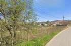 Casa de vanzare Racarii de Sus - Filiasi , teren 2686 mp, deschidere b - 5