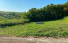 Teren Intravilan 680 mp, Valea Lupului - 1