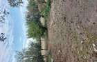 Casa + 1.095 mp teren, Horea Petrom, op?ional inca 960 mp, Deva